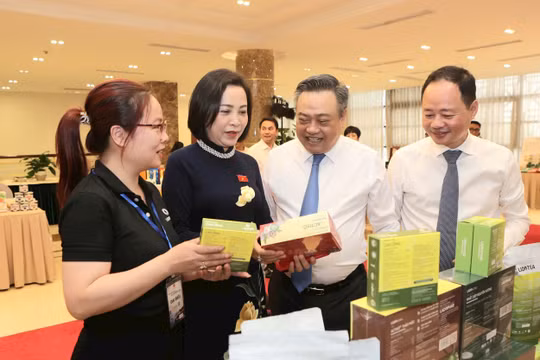 Tỉnh Lâm Đồng kết nối tầm nhìn, kiến tạo tương lai hậu sáp nhập hành chính