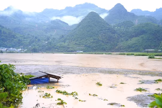 Lào Cai: Mưa lớn ngập đường phố núi Mường Khương, nước lũ lớn sông Hồng đang đổ về