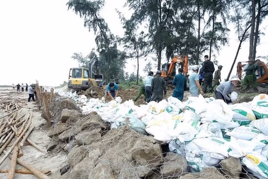 Ban Chỉ đạo Phòng thủ dân sự quốc gia yêu cầu 14 tỉnh, thành chủ động ứng phó bão số 11
