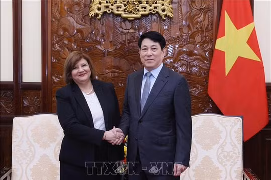 Chủ tịch nước Lương Cường tiếp Đại sứ Ai Cập đến chào từ biệt