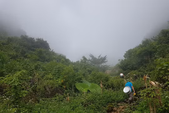 Người dân Cộp My khao khát một con đường