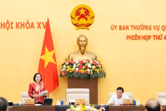 Ban hành 2 Nghị quyết về quy chế làm việc mẫu của Hội đồng Nhân dân
