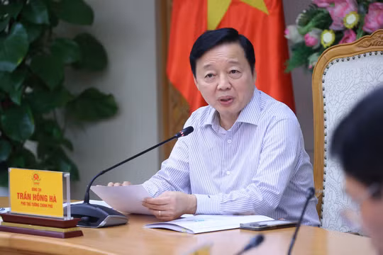 Không để chính sách hạn chế phương tiện gây xáo trộn, thiệt thòi cho người dân và doanh nghiệp