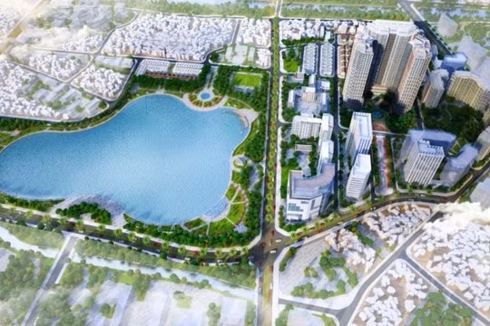 Phê duyệt tiến độ lựa chọn nhà đầu tư Dự án Khu đô thị Vibex