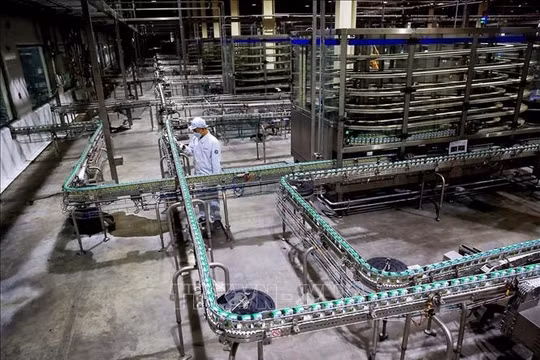 "Sản xuất sữa chờ công bố 21 ngày, sữa thiu mất rồi"