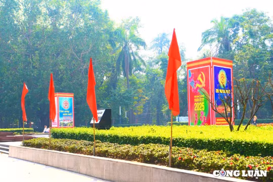 Phố phường Hà Nội rực rỡ sắc đỏ trước thềm Tết Nguyên đán 2025
