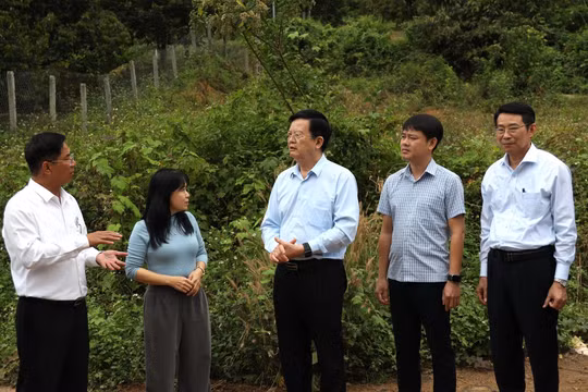 Phó Thủ tướng Mai Văn Chính kiểm tra các công trình trọng điểm tại Khánh Hòa