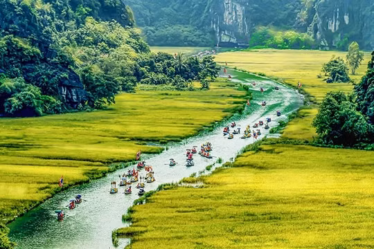 Ninh Bình dự kiến tổ chức Tuần lễ “Sắc vàng Tam Cốc-Tràng An” năm 2025 trong 7 ngày