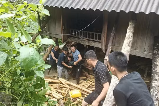 Thanh Hóa: 2 cán bộ Biên phòng và Công an bị thương khi làm nhiệm vụ