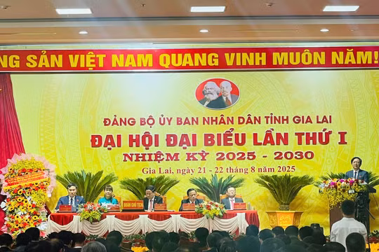 Xác định 5 trụ cột, 4 khâu đột phá đưa Gia Lai phát triển nhanh, bền vững