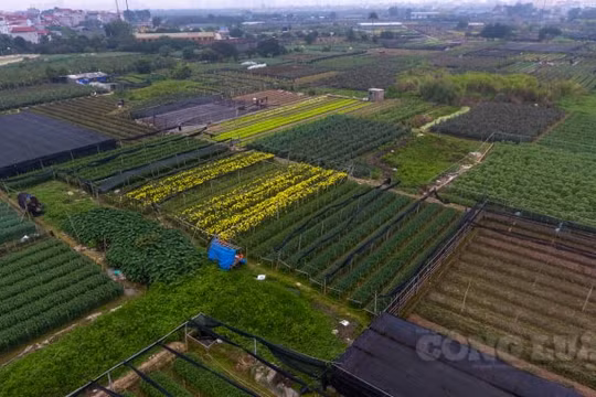 Chủ tịch Hà Nội 'thúc' tiến độ Dự án khu công nghệ cao sinh học