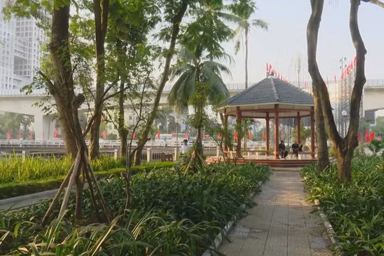 Tái sinh không gian bỏ trống thành công viên xanh cho người dân