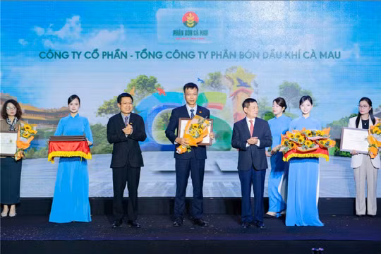 PVCFC dẫn đầu về phát triển bền vững và quản trị công ty bứt phá tại Việt Nam năm 2025