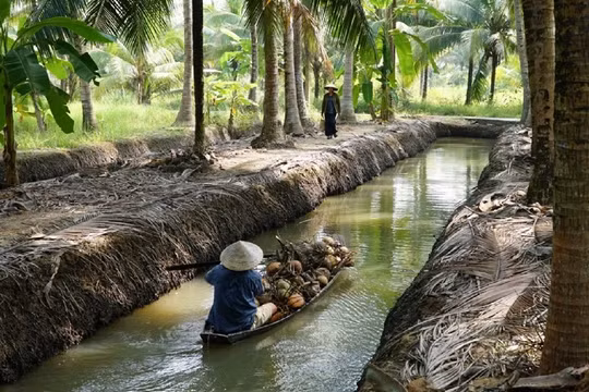 Chiếu miễn phí 14 bộ phim nhân kỷ niệm 80 năm Cách mạng Tháng Tám