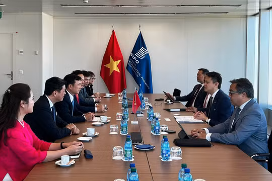 Tổng Giám đốc WIPO thăm Việt Nam, thúc đẩy hợp tác sở hữu trí tuệ và đổi mới sáng tạo