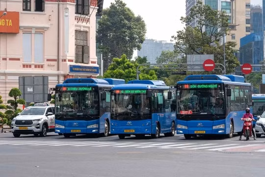 TPHCM miễn phí vé xe buýt, metro ngày 1.1.2026, tăng chuyến