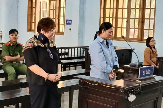 Gia Lai: Tham ô hơn 4 tỷ tiền phòng chống dịch Covid-19, nữ kế toán lãnh án 20 năm tù