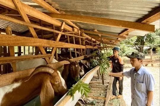 Lâm Đồng: Chính sách hỗ trợ thiết thực – “bệ đỡ” vững chắc cho hành trình giảm nghèo