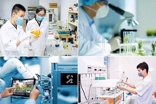 Đến năm 2030, lĩnh vực khoa học kỹ thuật đạt 1,1 bài báo quốc tế uy tín/tiến sĩ/năm