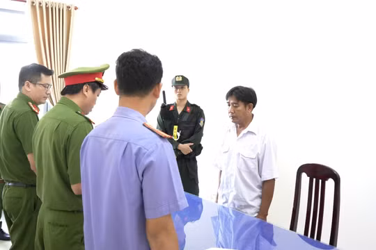 Để heo nhiễm dịch suýt 'lọt' ra ngoài chợ, 03 cán bộ Thú y liên quan bị khởi tố