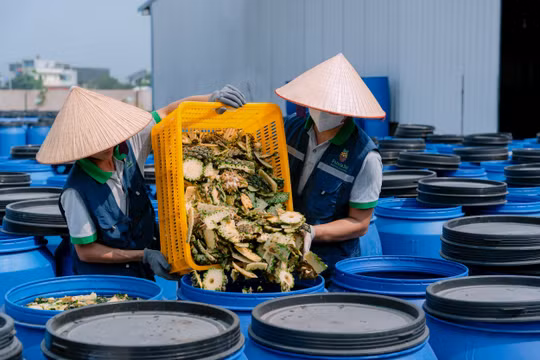 Startup Việt biến rác thải thành vàng: Bí mật từ vỏ dứa