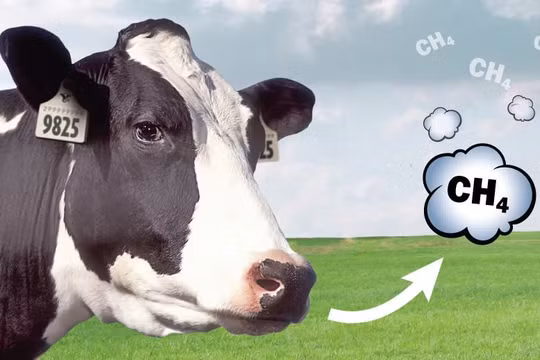 Việt Nam đặt mục tiêu giảm ít nhất 30% phát thải khí mê-tan vào năm 2030