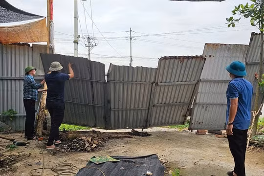Vĩnh Phúc: Kiên quyết xử lý vi phạm đất đai tại xã Thanh Trù – thành phố Vĩnh Yên