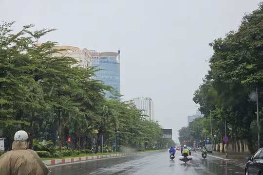 Dự báo thời tiết ngày 12/2: Nam Bộ có mưa dông, trời se lạnh