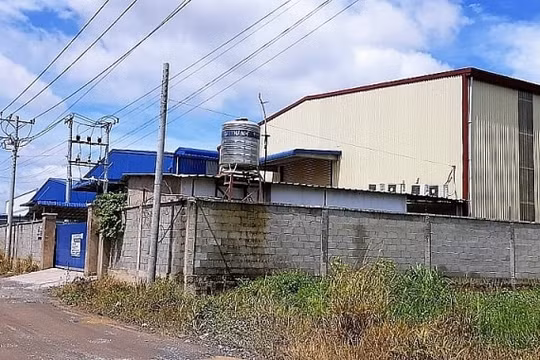Đồng Nai: Tăng cường thanh tra, kiểm tra các hoạt động cấp phép xây dựng nhà ở