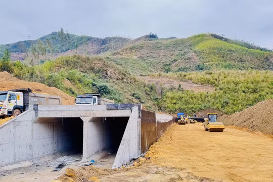 Hết tháng 1/2025, giải ngân vốn đầu tư công toàn tỉnh Quảng Ninh đạt 250 tỷ đồng