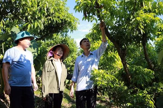 Thành quả giảm nghèo từ đổi mới sáng tạo và chuyển đổi số ở Bắc Ninh