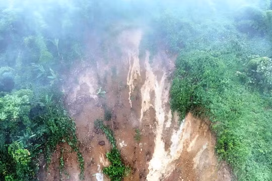 Sở GD&ĐT TP HCM kêu gọi toàn ngành chung tay ủng hộ đồng bào vùng lũ