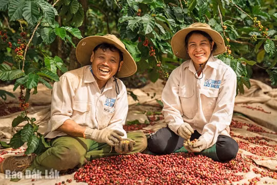 Báo Đắk Lắk với việc tuyên truyền thúc đẩy chuyển đổi xanh trong nông nghiệp gắn với bảo vệ môi trường