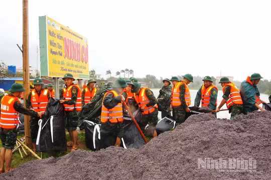 Ninh Bình: Tạm hoãn các hoạt động chào mừng thành công Đại hội đại biểu Đảng bộ tỉnh lần thứ I do ảnh hưởng bão số 10