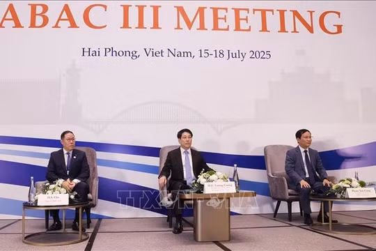 Chủ tịch nước Lương Cường dự khai mạc Kỳ họp lần thứ 3 Hội đồng Tư vấn Kinh doanh APEC
