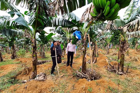 TP Huế về đích sớm trong công tác giảm nghèo bền vững