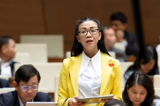 Cần có phương án sử dụng, khai thác và đặc biệt là bảo vệ đất hiếm