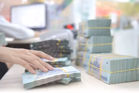 Nâng quy mô chương trình tín dụng nông, lâm, thủy sản lên 185.000 tỷ đồng