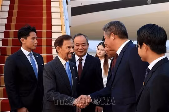 Quốc vương Brunei bắt đầu chuyến thăm cấp Nhà nước tới Việt Nam