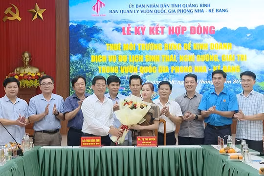 Phong Nha – Kẻ Bàng thúc đẩy phát triển du lịch sinh thái gắn với bảo tồn rừng