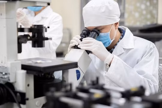 Chính phủ ban hành quy định mới về chế độ, chính sách đối với chuyên gia cao cấp