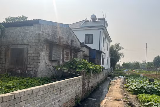 Cần xử lý dứt điểm vi phạm đất đai, xây dựng khu vực cánh đồng Thường