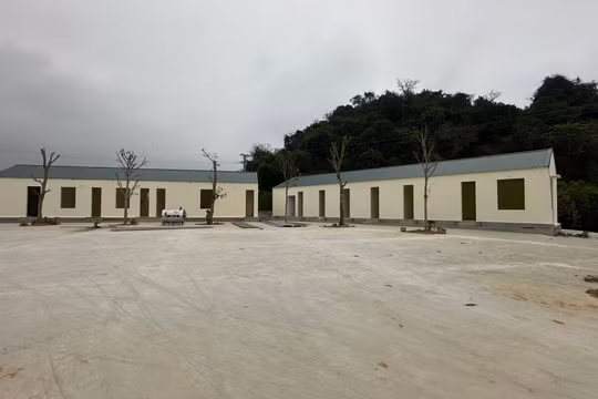 Thanh Hóa: Công ty chế biến lâm sản Thanh Lâm xây dựng công trình khi chưa được giao đất