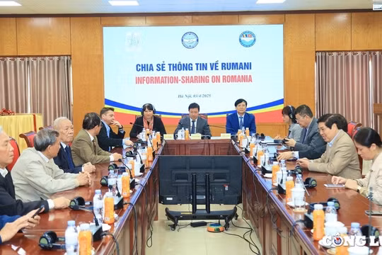 Thúc đẩy quan hệ hữu nghị toàn diện Việt Nam - Rumania