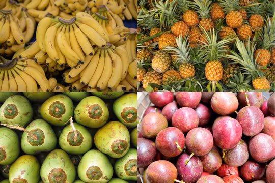 Chuối, dứa, dừa, chanh leo - nhóm cây ăn quả tỷ đô chờ bứt phá