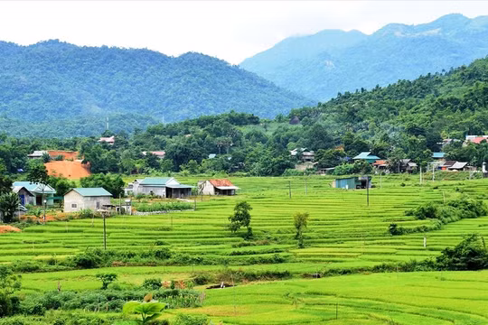Nghệ An tăng cường giám sát, quyết liệt triển khai Chương trình MTQG giảm nghèo bền vững năm 2025