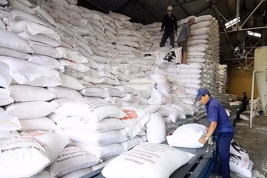 Hằng tháng thương nhân kinh doanh xuất khẩu gạo phải báo cáo lượng gạo tồn kho