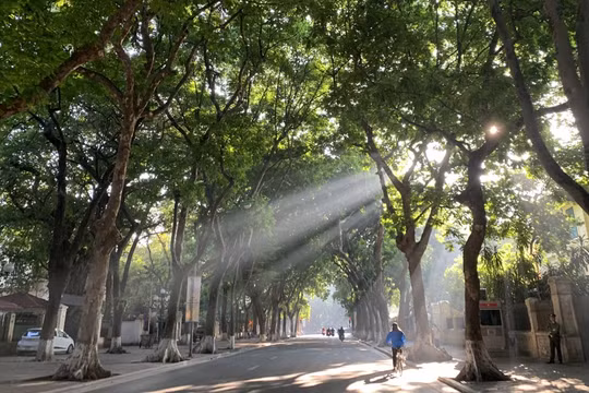 Dự báo thời tiết ngày 5/1: Bắc Bộ nắng hanh, Nam Bộ mưa rào