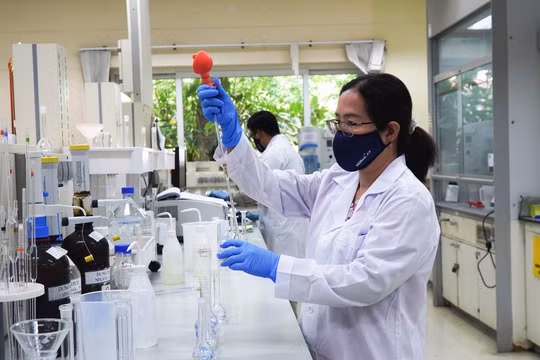Bộ ba vàng vô cơ – hữu cơ – sinh học của Phú Mỹ - PVFCCo