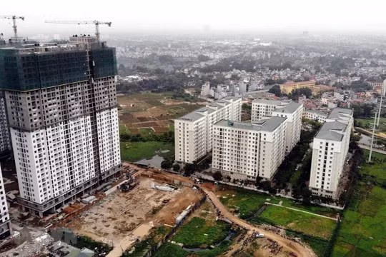 Doanh nghiệp có thể bị truy thu tiền đất vì lỗi của cơ quan nhà nước?